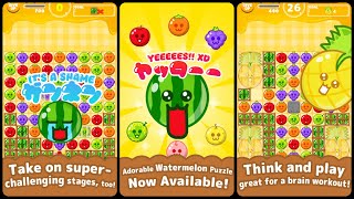 Melo Melo Fruit Gameplay Android [upl. by Eiramasil]