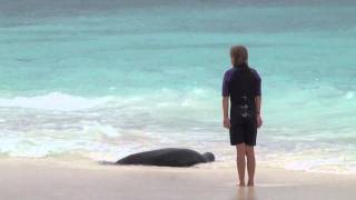 Jan Cousteau on Exploring the Galápagos Islands [upl. by Yelsel569]