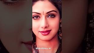 Sridevi Kapoor  Indian actress  Telugu  Tamil  Hindi  Malayalam  films  Mr India  chandini [upl. by Nodnas703]