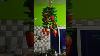 Santre ke ped per aam 🥭32180 funny minivloging shortsvlog [upl. by Jueta670]