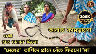 মেয়ের তাগিদে প্রানে বেঁচে ফিরলো মা  Common Krait bite  snake bite  Reptopedia silentkiller [upl. by Jada]