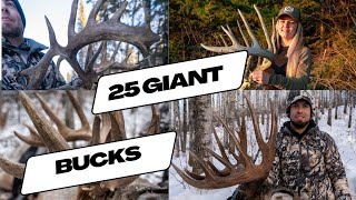 25 Whitetail Kill Shots in 30 Minutes  CANADIAN BUSH BUCKS ULTIMATE DEER HUNTING COMPILATION [upl. by Torre191]