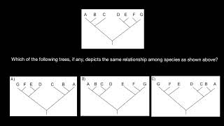 How to analyse cladograms [upl. by Naihr]