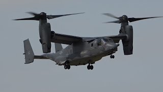 V22 OSPREY Takeoff amp Landing at RAF Midenhall [upl. by Anaujahs941]