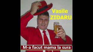 VASILE ZIDARUMA FACUT MAMA LA SURAPARODIE [upl. by Saffian]