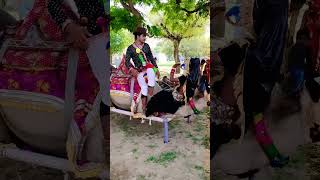 parmeshwar Marwadi dancer Sun jamkudi Mari song trending [upl. by Jehanna]