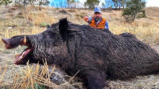 HUNTING the BEAST INCREDIBLE Shots on WILD BOARS EPIC Hunting Scenes [upl. by Antony408]