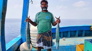 ஆழ்கடல் விசைபடகில் சுவையான அரக்கோலா மீன் குழம்புPrepared by Boat Chef Thasan [upl. by Asiil659]