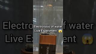 Electrolysis of water 💥science experiment Electrolysis shorts 🧪 [upl. by Oz608]