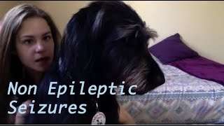 PNES Non Epileptic Seizures What is itMy story [upl. by Nakeber]