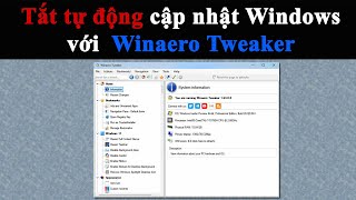 Tắt tự động cập nhật Windows với Winaero Tweaker [upl. by Sanfred]