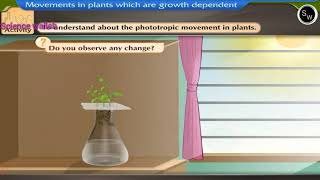 To understand about phototrophic movement plants  Class 10 Biology sciencewallah267 [upl. by Haze]