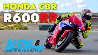 2024 Honda CBR600RR First Ride on Track  Best Ever Honda Supersport [upl. by Jacintha938]