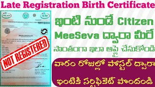 Late Registration Birth Certificate Apply in TeluguHow to apply Late birth certificate In Telangana [upl. by Rebma]