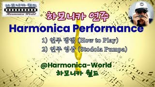 하모니카 연주목장길 따라  Harmonica PerformanceStodola Pumpa [upl. by Zetroc]