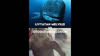 Livyatan Vs Megalodon🤑 [upl. by Pammi]