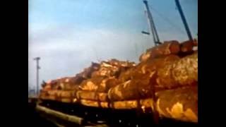 Trip to the Chemainus log dump by MacMillan Bloedel locomotive 1044 in the late 1960s [upl. by Nnaeus170]