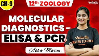 12th Zoology  Chapter 9  Molecular Diagnostics ELISA amp PCR  2nd Mid Term  Asha Maam [upl. by Myca762]