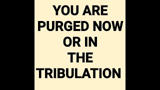 Either You Are Purged Now Or In The Tribulation [upl. by Wagshul]