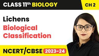 Lichens  Biological Classification  Class 11 Biology Chapter 2  NCERTCBSE [upl. by Elok]