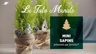 Le tuto minute  le mini sapin [upl. by Gronseth7]