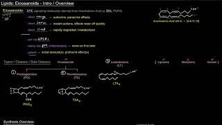 Eicosanoids  Intro  Overview free sample [upl. by Sergias]