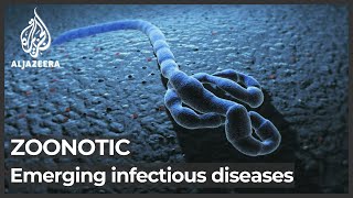 UN report 75 percent of emerging infectious diseases are zoonotic [upl. by Halladba]