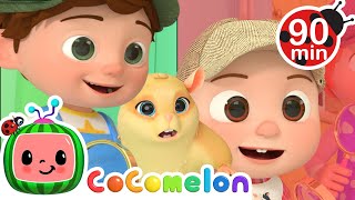 Lost Hamster  Cocomelon Nursery Rhymes 🚍🍉 Colors For Kids 🌈🏳️‍🌈 [upl. by Delinda]