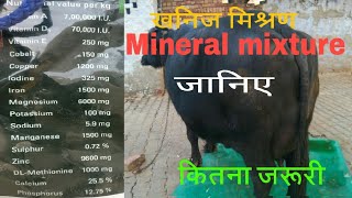 Mineral mixture for cow amp Buffalo pashu ko mineral mixture jarur khilaye [upl. by Ytsirc]