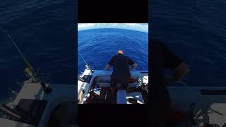 Deep sea fishing fishing fishingvideo fish adventure offshore brisbane [upl. by Sisely]