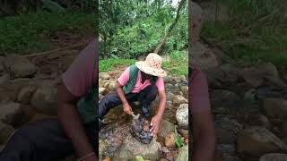 Poor Man Finds Gem on the River Bank 💎🌊 Gemstone Discovery TreasureHunt Gems [upl. by White]