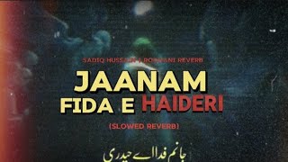 Jaanam Fida E Haideri  Slowed  Reverb  Sadiq Hussain  Kalam e Haider e Karar Mola Ali AS [upl. by Ititrefen]