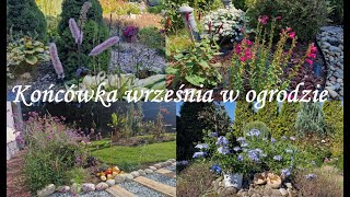 Żegnamy wrzesień w ogrodzie Kwitną ołowniki astry świecznica clerodendrum  Ogród Jadzi 221 [upl. by Llerdnam808]