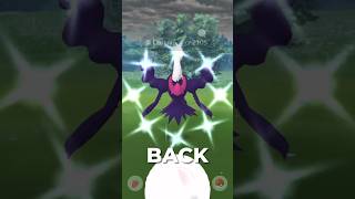 Top Counters for DARKRAI [upl. by Elset]