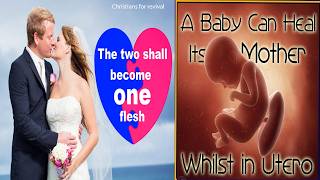 Science of Marriage One Flesh Explained Fetal Cells amp Microchimerism [upl. by Also926]