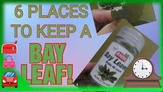 6 PLACES TO KEEP A BAY LEAF ATTRACT MONEY ENHANCE LOVE PROTECTION AND MORE [upl. by Nynahs]