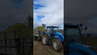 Landini 5100h silaj isleri farming agro fiattractor harvest fullpull landini [upl. by Fougere]