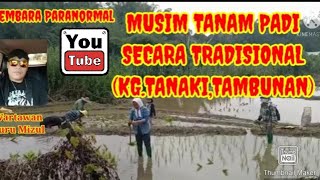 quotMusim tanam padi secara tradisionalKgTanakiTambunanSabahquot [upl. by Girish]