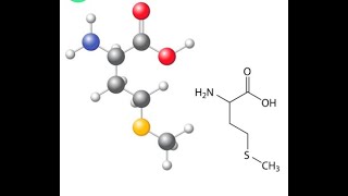 Metabolism of Methionine [upl. by Annawal]