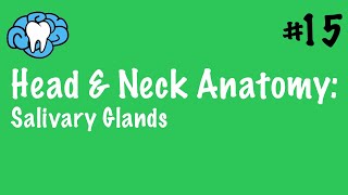 Head amp Neck Anatomy  Salivary Glands  INBDE [upl. by Enyrhtak]