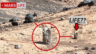 NASA Mars Rover Perseverance Sent Shocking 360° Footage of Mars Life Curiosity Rover Mars in 4K [upl. by Lechar]