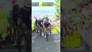 TDF 2024 Subito in Giallo [upl. by Aikaz]