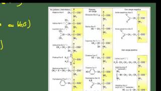 Biología 2º Bach Tema 4 Proteínas Ap 1 Aminoácidos [upl. by Eillat]