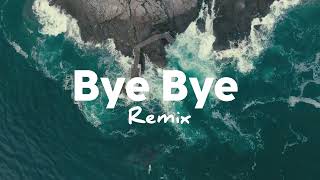 Bye  Bye  Rizky Ayuba Remix [upl. by Ydneh556]