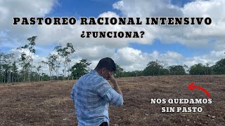 ¿Funciona el Pastoreo Racional Intensivo [upl. by Shandra409]