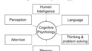 Cognitive Psychology Introduction [upl. by Hillari557]