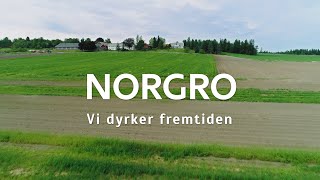 Norgro  Reddik [upl. by Adolphe]