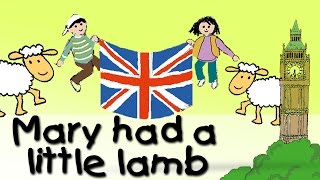 Mary Had A Little Lamb  englische Kindergarten Lieder  Kinderlieder [upl. by Cheri]