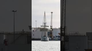 Santa María Manuela ship cadiz velero sailing santamariamanuela cadizport [upl. by Crofton]