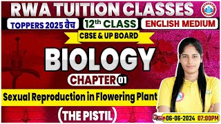 Class 12 Biology Chapter 1  Sexual Reproduction In Flowering Plants  CBSE amp UP Board 2025 [upl. by Patin]